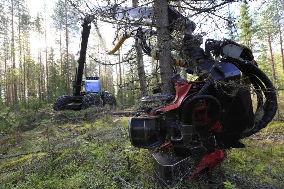 Harvennushakkuutta Laukaassa.