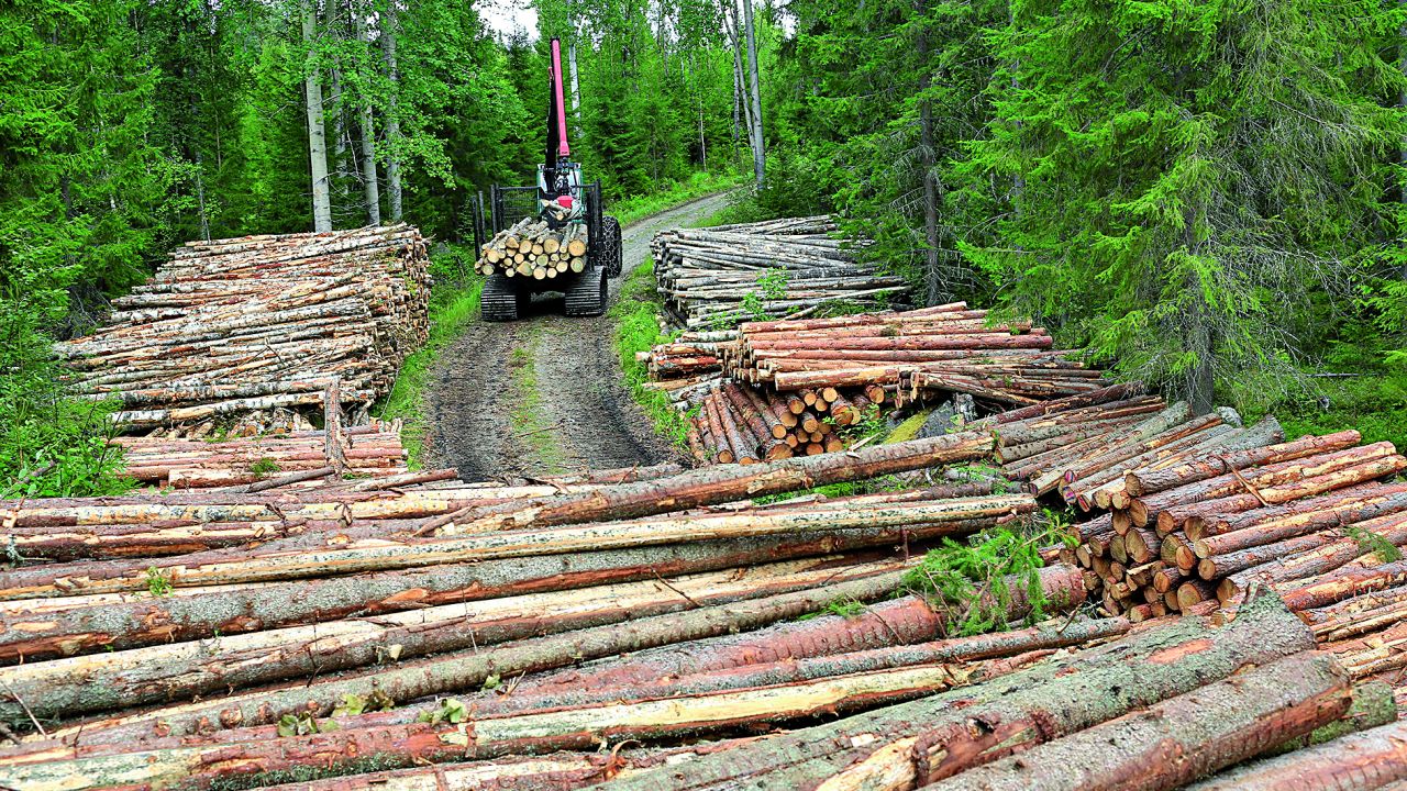 Metsäteiden kantavuus koetuksella - Metsälehti