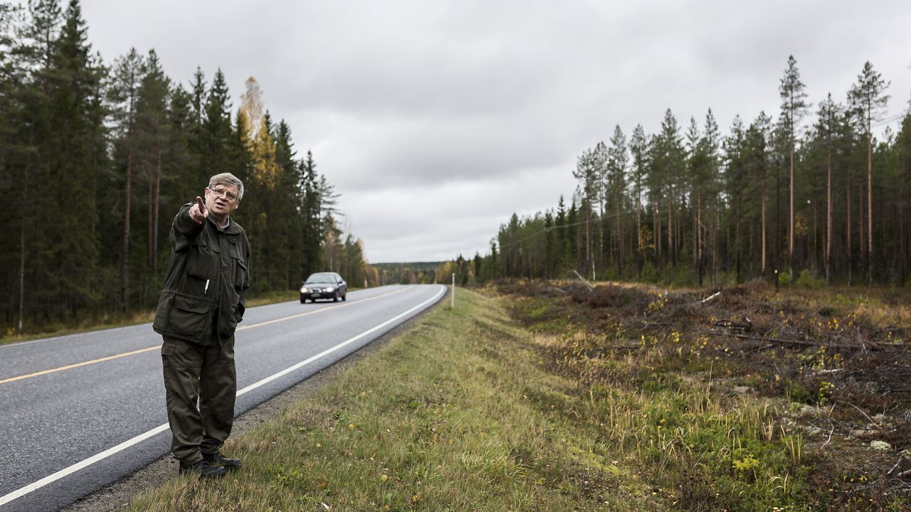 Tärkeintä on kuviokoko” - Metsälehti