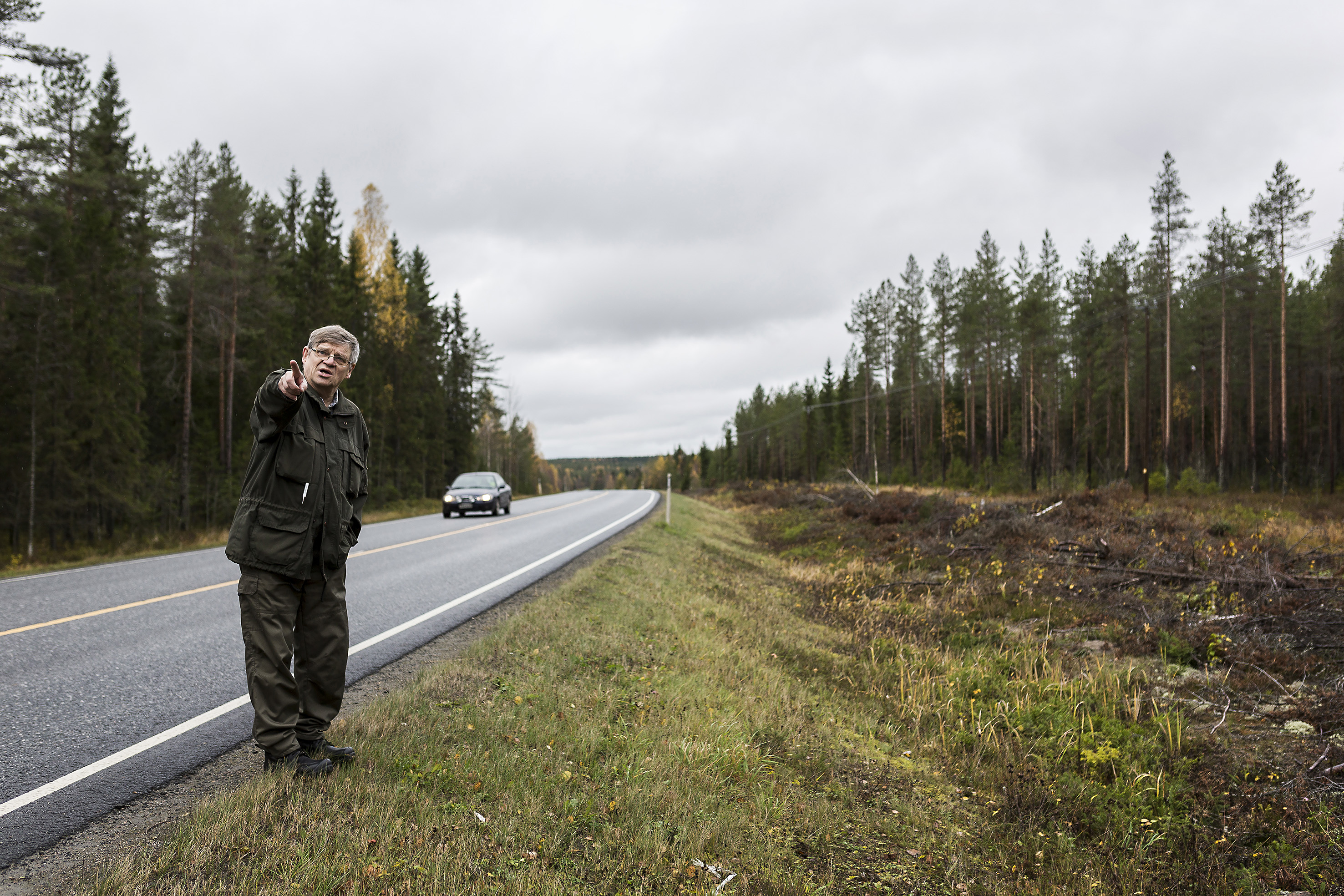 Tärkeintä on kuviokoko” - Metsälehti