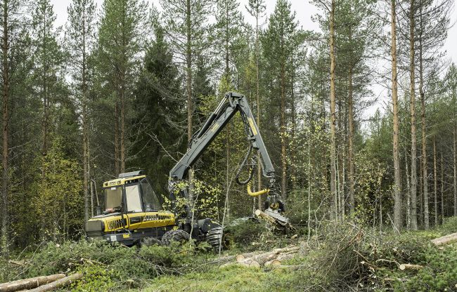 Osaran metsiä avohakataan jälleen - Metsälehti