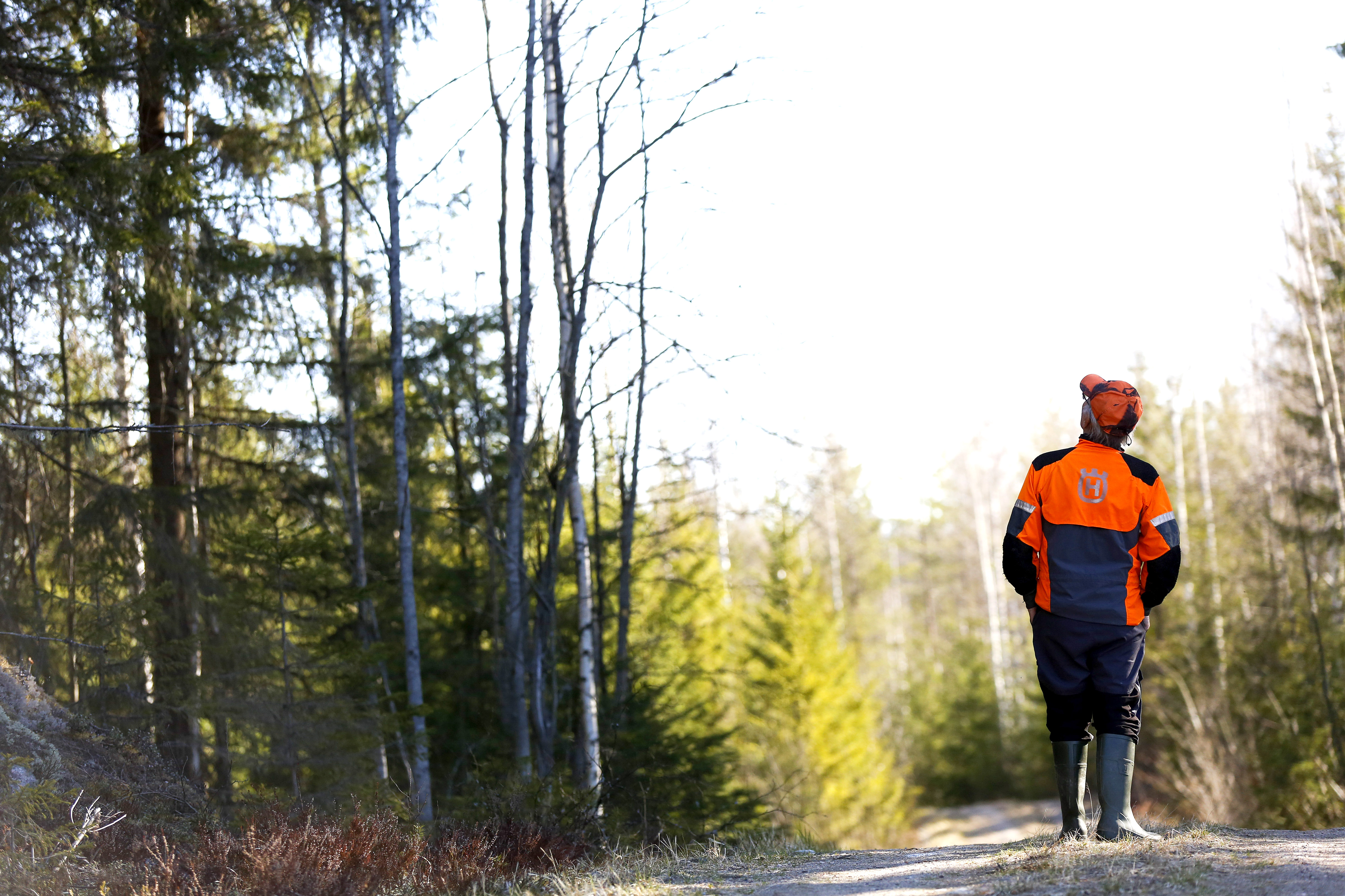 Suurtutkimus tuo tuoretta tietoa metsänomistajista - Metsälehti