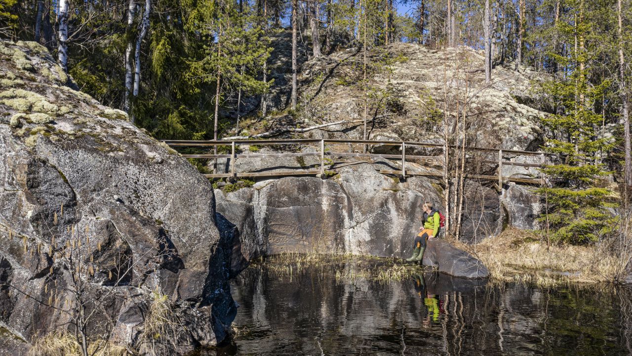 Retkeily | Kuningasjätkän virta - Metsälehti