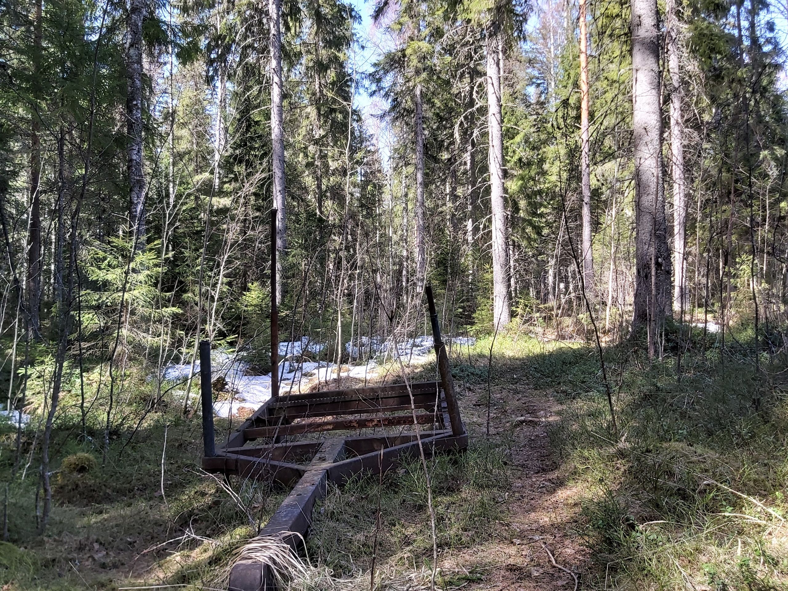 Hannun hintaseuranta: Metsämaan hintataso jatkaa nousuaan - Metsälehti