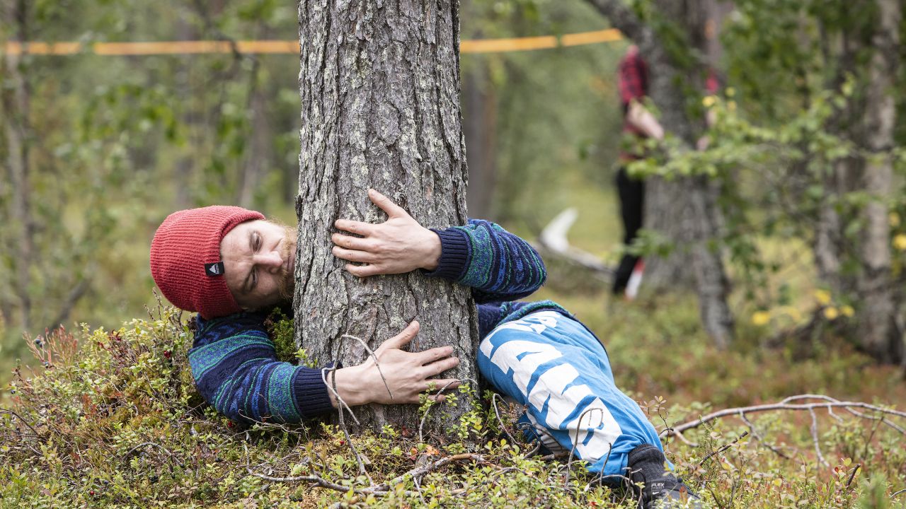 Maailma halasi puita Levin metsissä - Metsälehti