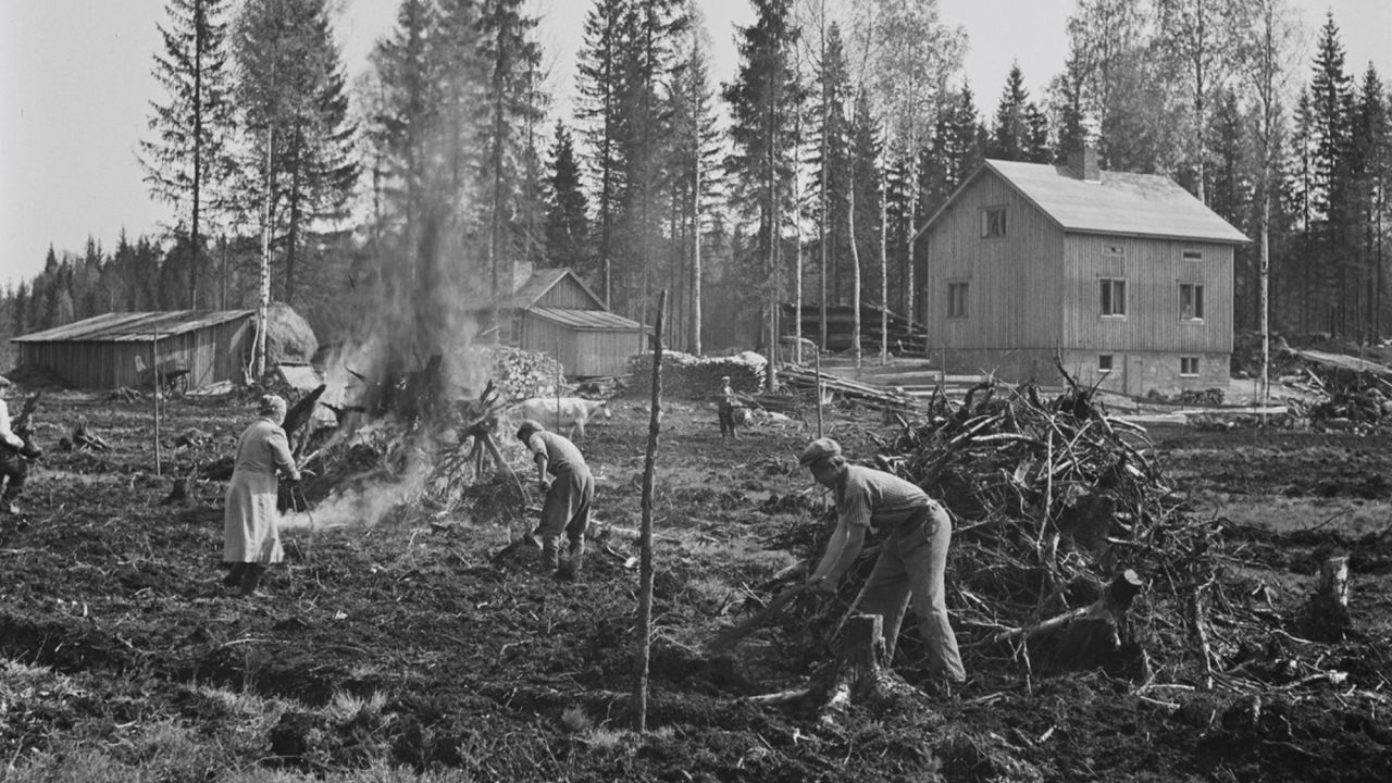 Suomalainen metsänomistus osana yhteiskunnan muutosta - Metsälehti