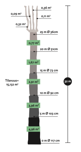 Kotimaiset Metsäkuuset