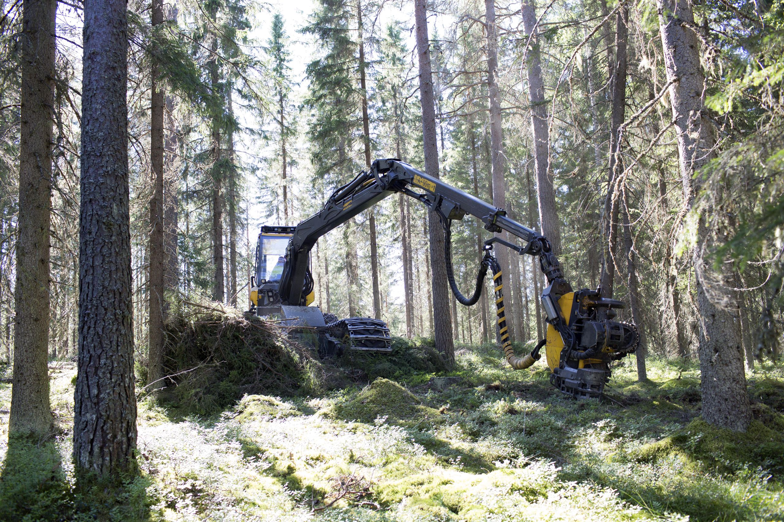 Tutkijakoulutus: polku akateemiseen uraan