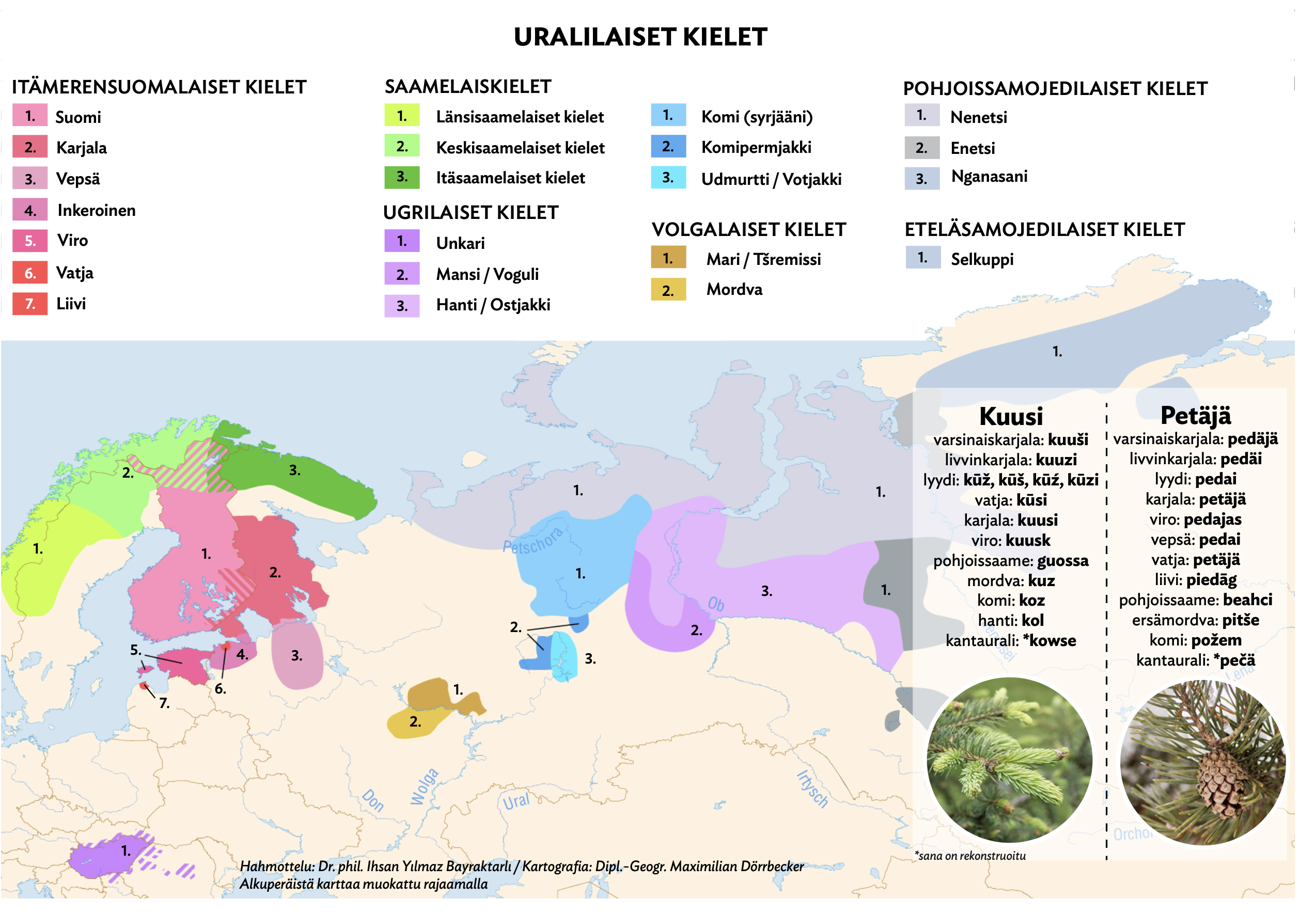 Historia | Kaikuja kaukaa - Metsälehti