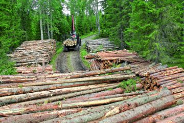 Saarijärveläisen Forest-Linna Oy:n tela-alustainen ajokone ajoi elokuussa puita tien varteen harvennusleimikolla Konnevedellä. (Kuvaaja: Sami Karppinen)