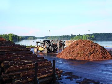 Mäntytukit ovat liikkuneet tänä syksynä vauhdilla.