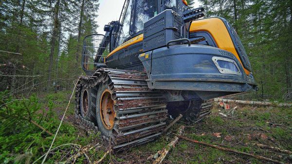 Metsä-Multian koneet ovat kuluvan syksyn aikana harventaneet kymmeniä hehtaareita kuusikoita. Ajourien suojaaminen havuilla vähentää uran reunapuiden juuristovaurioita.