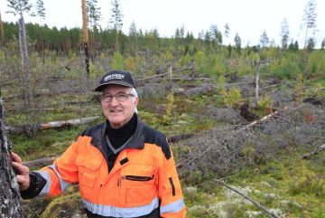 Asta-myrskystä käynnistyi uusi vaihe Matti Rossin elämässä. Mies siirtyi metsätaloudesta kiinteistöbisnekseen. Kuva: Sami Karppinen