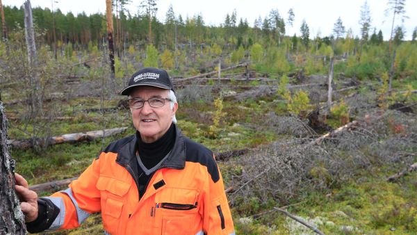 Asta-myrskystä käynnistyi uusi vaihe Matti Rossin elämässä. Mies siirtyi metsätaloudesta kiinteistöbisnekseen. Kuva: Sami Karppinen