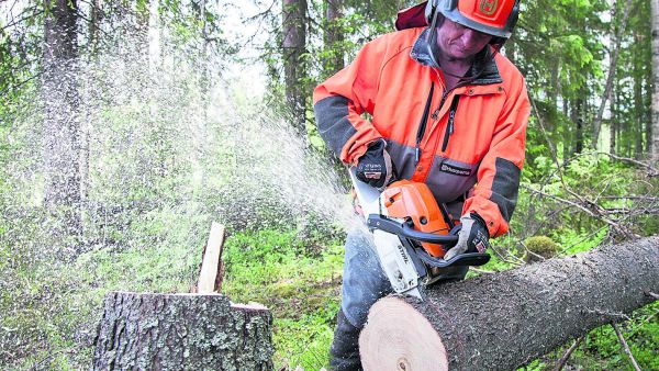 Uuden Stihlin leikkuuteho on kokoluokkansa paras. (Kuvaaja: Mikko Riikil)