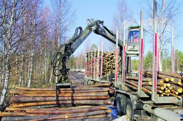 Hankintapuuta noudetaan tienvarresta yhä vähemmän. Parhaiten metsäyhtiöille kelpaa mäntykuitu. (Kuvaaja: Hannu Jauhiainen)