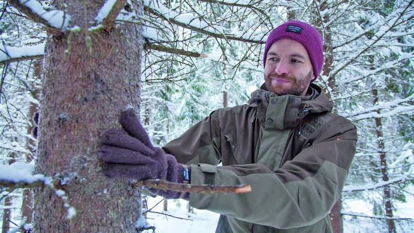 Juha Huttunen ylpeänä esittää: 1991 istutettu kuusikko. 1600 runkoa, 150 kuutiota hehtaarilla. Harvennus hankintatyönä tänä talvena. Näitä Pohjois-Savossa riittää. (Kuvaaja: MIkko Riikilä)