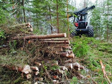 Metsäkeskuksen mukaan keväällä pitäisi olla runsaasti tukihyväksynnän saaneita töitä toteutusta odottamassa. Tukilukujen perusteella nuorten metsien kunnostuksissa ei siis pitäisi olla seisokkia. (Kuvaaja: Mikko Riikilä)