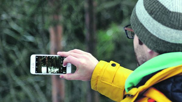 Älypuhelimella kuvia. Kuvista näkee, kuinka paljon vaivaa metsän kasvun eteen on tehty. (Kuvaaja: Eero Sala)