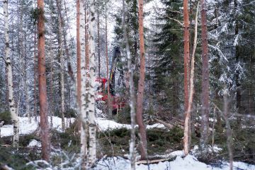 Lapin Laatukone Oyj:n metsäkoneenkuljettaja Esa Ämmälä harvensi maaliskuun lopulla ensiharvennusikäistä puustoa Rovaniemellä.