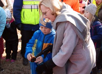 Eduskunnan puhemies Maria Lohela sai tarpeellista apua Antti Levomäeltä. Näin Tulevaisuuden kuusen taimi saatiin istutettua kaikella kunnialla. (Kuvaaja: Eero Sala)