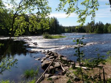 Kuva Jouni Taivainen