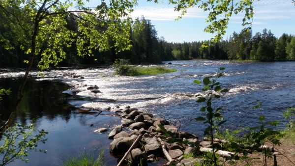 Kuva Jouni Taivainen