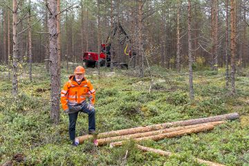 Hintatarjousten vertailu menee vaikeaksi jos leimikolta otetaan erikseen kolmenkokoista tukkia eri ostajille, Risto Koivula näyttää. Yhdistyksen korjuupalvelu harvensi männikköä Kuortaneella viime viikolla.  (Kuvaaja: Pasi Ahola)