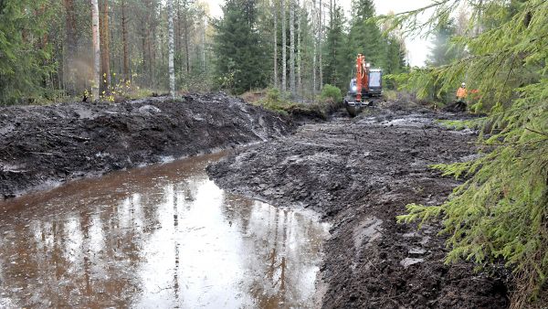 Kaivuri nostaa ja tasoittaa laskeutusaltaasta ja ojista kaivetun maan altaan ja ojien reunoille. (Kuvaaja: Juha Harju)