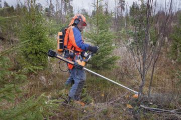 Pellencin Excelion-raivaussaha voidaan varustaa myös metsäterällä. Terän hitaanko kehänopeus ja sahan keulapainoisuus heikentävät sen sopivuutta metsänraivaukseen.  