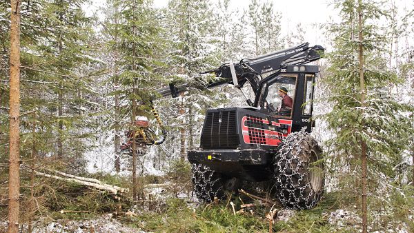 Jos taimikonhoito on jäänyt tekemättä, koneellinen nuoren metsän kunnostus energiapuunkorjuulla voi olla ratkaisu. (Kuvaaja: mikko riikilä)