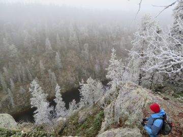 Kuusamolainen luontomatkailuyrittäjä Chris White tutustumassa Porontiman reittiin. (Kuvaaja: Laila HökkäMetsäkeskus)