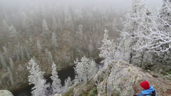 Kuusamolainen luontomatkailuyrittäjä Chris White tutustumassa Porontiman reittiin. (Kuvaaja: Laila HökkäMetsäkeskus)