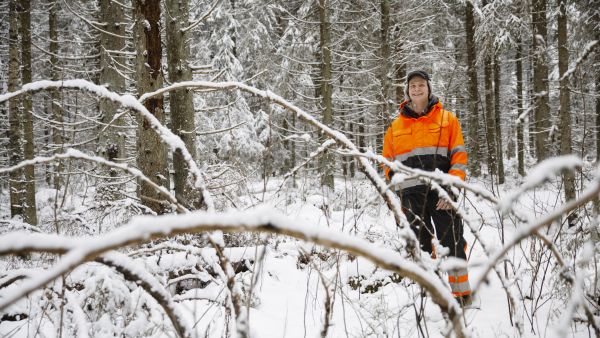 Aleksi Puhtila yhdistää metsissään suojelun ja talouskäytön. Päätös siitä, hakataanko vai suojellaanko kuvan yli satavuotias kuusikko, syntynee lähivuosina. (Kuvaaja: Seppo Samuli)