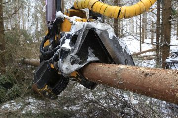 Hakkuiden katkonta on ostajan ja myyjän erilaisten intressien yhteensovittamista. (Kuvaaja: Sami Karppinen)