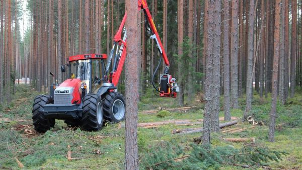 Metsäkoneista saatava toteutustieto hakkuista auttaisi metsävaratietojen päivityksessä. Tietojen siirtoon kehitetään toimivaa järjestelmää.