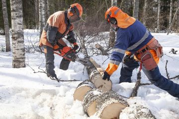 Hannu Niskanen (vasemmalla) kokeili uutta Echoa omakotitalonsa pihalla ja vaikuttui sahan tehosta.   