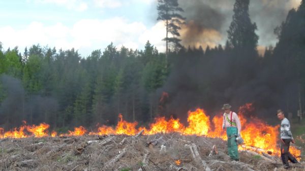 Poltto etenee Heikinheimon kaskeksi kutsutulla alueella Padasjoella. (Kuvaaja: Erkki OksanenLuke)