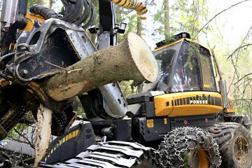 Tyvestä sahattava hylkyleikko eli lumppi jää tavallisesti palstalle metsänomistajan omaisuudeksi. Mikäli päätehakkuulta kerätään hakkuutähteet, puidaan lumpit yleensä hakkuutähdekasoihin.  (Kuvaaja: Sami Karppinen)