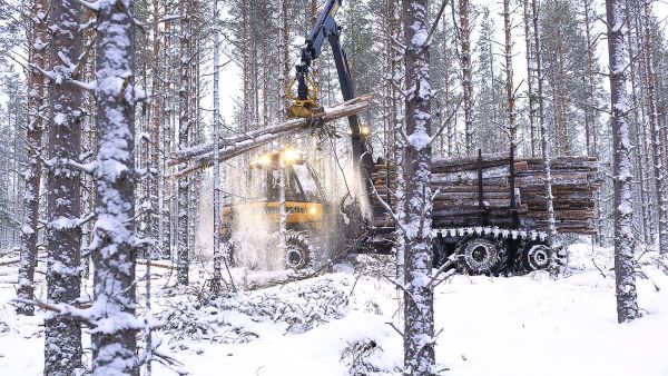 Metsäyhtiöillä on aiempaa paremmat mahdollisuudet ostaa leimikoita talvikorjuuseen. Pohjoissa talvikohteille päästäneen jo ensi kuussa. (Kuvaaja: Sami Karppinen)