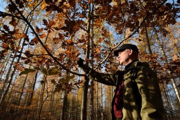 Juho Aarnion ja hänen sisarustensa metsätilalla kasvaa paljon erikoispuita, kuten tammia ja lehtikuusia.