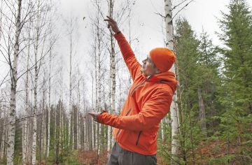 Tässä oli vuosikymmenen alussa läpitunkematon koivuviidakko, jota peratessamme saimme vaimon kanssa opetella raivaussahaamista ihan tosissamme, Pekka Syvänen kertoo. (Kuvaaja: Mikko Riikilä)