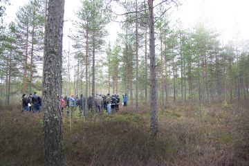 Pirkanmaalla on runsaasti turvemaita, jotka voisivat sopia jatkuvaan kasvatukseen. Metsänhoitoyhdistys pohti männikön keskellä, miten jatkuvan kasvatuksen hakkuusta saa tuottoa, maisema säilyy, mutta metsä uudistuu ja on monimuotoista. (Kuvaaja: Janne Ruotsalainen)