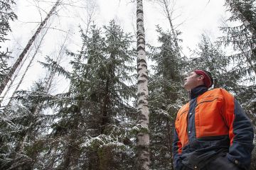 Pasi Saarelainen työmaana on muovata peltoon istutetusta koivikoista kaksijaksoinen koivu-kuusi-metsä. (Kuvaaja: Mikko Riikilä)