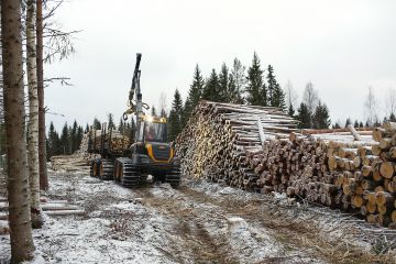 Tämänvuotinen hakkuumäärä on nousemassa 77 miljoonaan kuutioon, kun hallitusohjelman tavoite on 80 miljoonaa kuutiota. (Kuvaaja: Sami Karppinen)