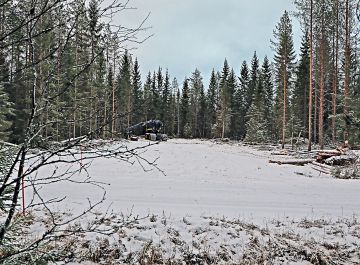 Runsaasti liikennöity yksityistie kulkee kuvan vaakasuunnassa. Varastopaikka on tehty kohtisuoraan tietä vasten.  