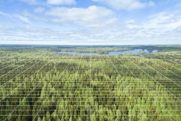 Laserkeilauksessa metsätiedot muodostetaan erikseen sivuiltaan 16-metrisille ruuduille, hiloille.  (Kuvaaja: Suomen metsäkeskus)