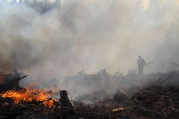 Tuulen alapuolella tulee aina vartioida kipinöitä. Kuusesta tehty hosa on toimiva väline karanneiden palonalkujen sammutukseen. (Kuvaaja: Tiia Puukila)