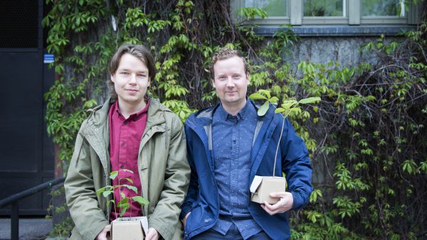 Santeri Muukkosen ja jan-Erik Antinluoman puupakettien avulla puun kasvatus onnistuu vaikka yksiössä. Tammet (vas.) ja hevoskastanja ovat ehtineet kasvaa alkuvuoden aikana siemenistä pieniksi taimiksi. (Kuvaaja: Else Kyhälä)