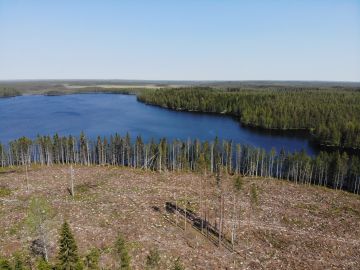 Isot metsäyhtiöt kompensoivat FSC-sertifioinnista metsänomistajille koituvia tulonmenetyksiä maksamalla FSC-sertifioidusta puusta parempaa hintaa. FSC-sertifioinnissa esimerkiksi järven rantaan on jätettävä vähintään 15 metriä leveä suojavyöhyke, kun PEFC:ssä riittää 5  10 metriä. (Kuvaaja: Sami Karppinen)